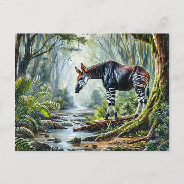 Okapi - Museo in Rainforest Wildlife Postkarte (Vorderseite)