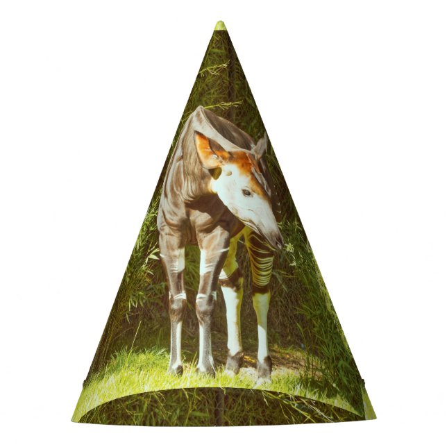 Okapi Partyhütchen (Vorderseite)