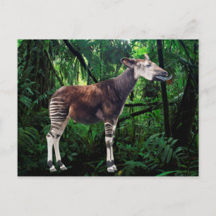 Okapi Postkarte