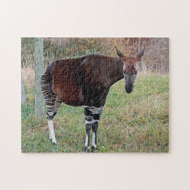 Okapi Puzzle (Horizontal)