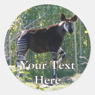 Okapi Stickers