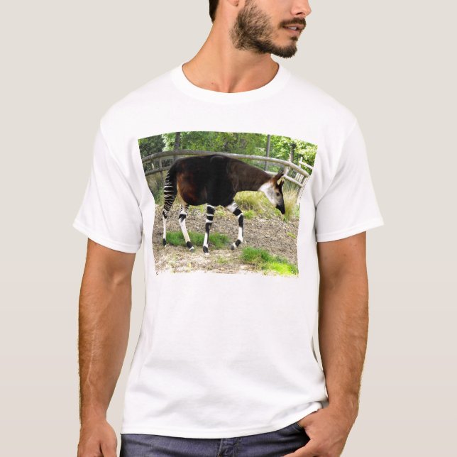 Okapi T-Shirt (Vorderseite)