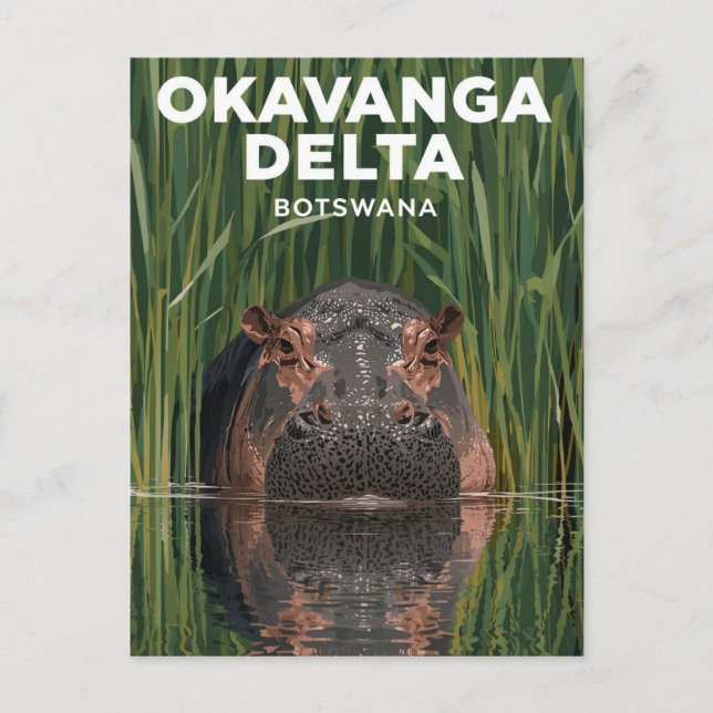 Okavanga Delta Botswana Hippo Wildlife Travel Postkarte (Vorderseite)