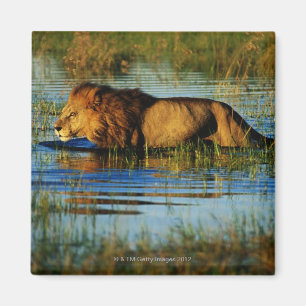 Okavango-Delta, Botsuana 3 Magnet