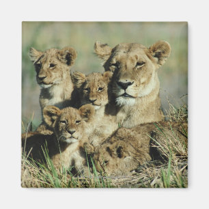 Okavango-Delta, Botsuana Magnet