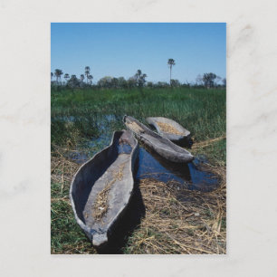 Okavango-Delta, Botsuana Postkarte