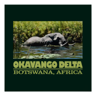 Okavango Delta Poster