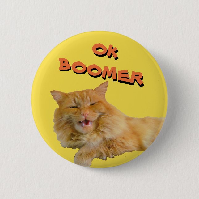 Okay, Boomer Talking Cat Meme Button (Vorderseite)