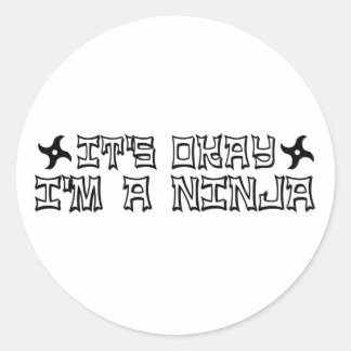 Okay, ich bin ein Ninja Runder Aufkleber