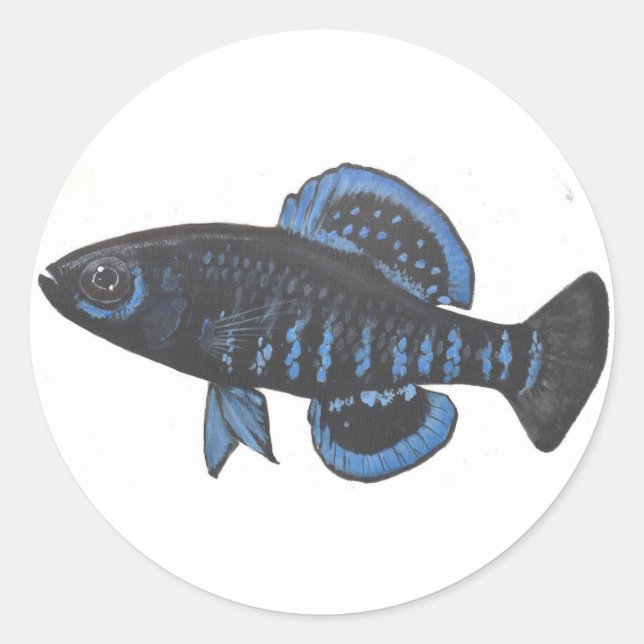 Okefenokee pygmy sunfish Sticker (Vorderseite)