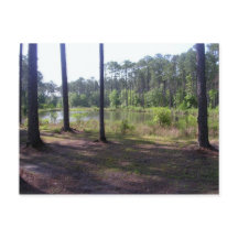 "OKEFENOKEE SWAMP PARK"