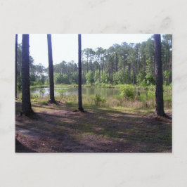 "OKEFENOKEE SWAMP PARK" POSTKARTE