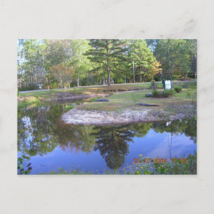 "OKEFENOKEE SWAMP PARK" POSTKARTE