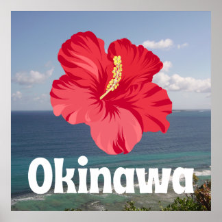 Okinawa Landschaftliche Aussicht und Hibiskus Poster