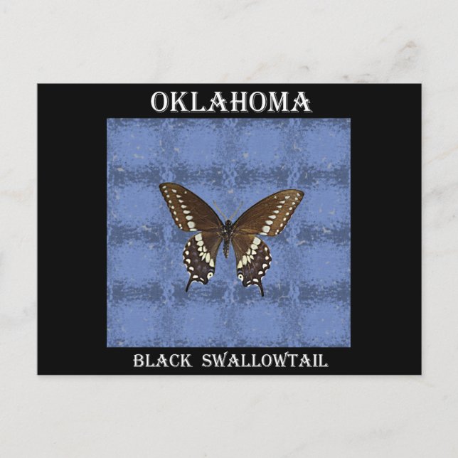 Oklahoma Black Frack Butterfly Postkarte (Vorderseite)