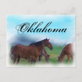 Oklahoma horses postkarte