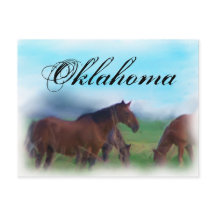 Oklahoma horses