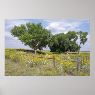 Oklahoma-Land Poster