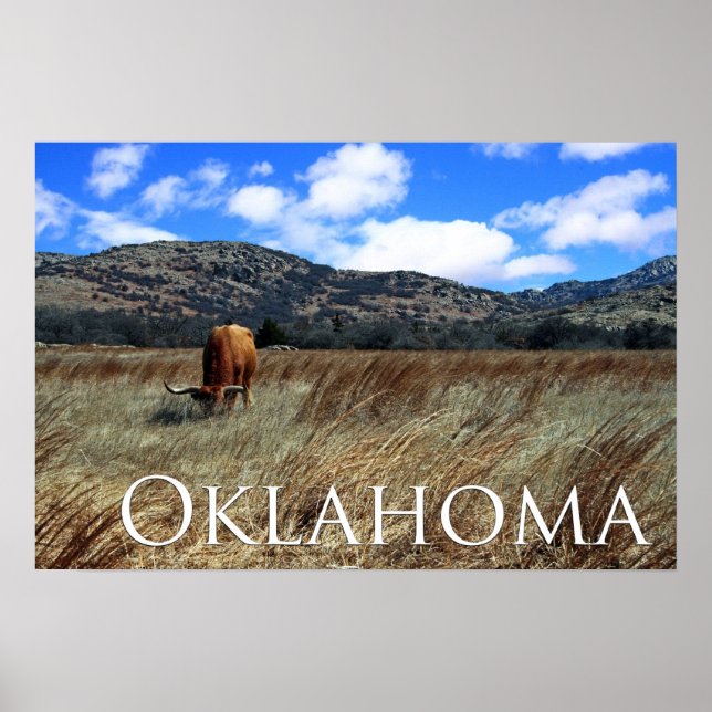 Oklahoma Prairie Print Poster (Vorne)
