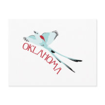 Oklahoma Scissortail