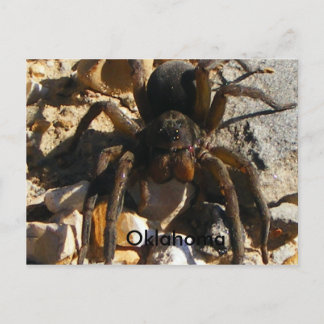 Oklahoma, Spider Postkarte