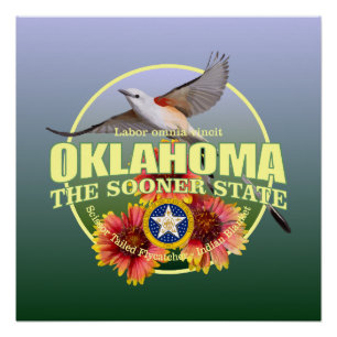 Oklahoma-Staats-Vogel u. Blume Poster