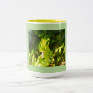 Öko Green Blooms Zweifarbige Tasse