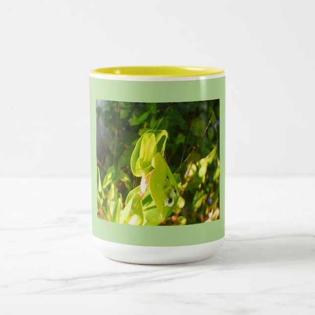 Öko Green Blooms Zweifarbige Tasse (Mittel)