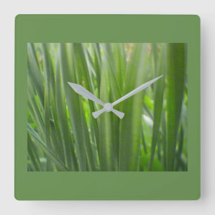 Öko Green Decor Quadratische Wanduhr