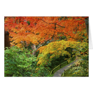 Okochi Sanso, Arashiyama, Kyoto, Japan 2