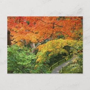 Okochi Sanso, Arashiyama, Kyoto, Japan 2 Postkarte