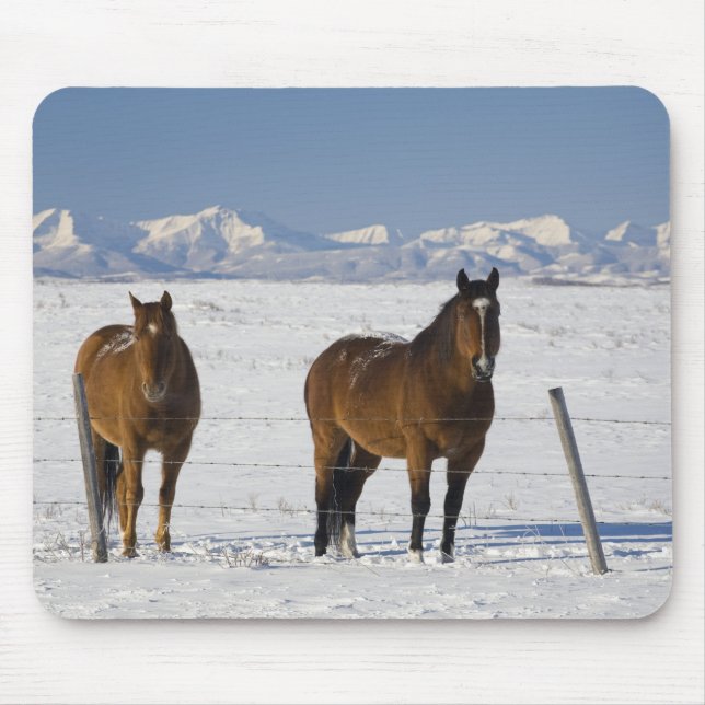 Okotoks, Alberta, Canada Mousepad (Vorne)