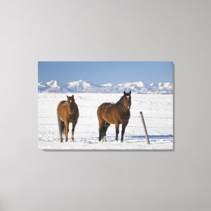 okotoks, Alberta, Kanada Leinwanddruck