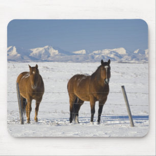okotoks, Alberta, Kanada Mousepad