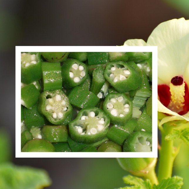Okra-Scheiben auf Postkarte (Von Creator hochgeladen)