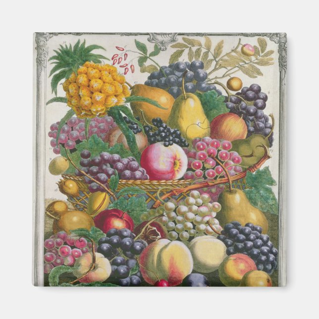 Oktober, ab "Zwölf Monate Obst" Magnet (Vorne)