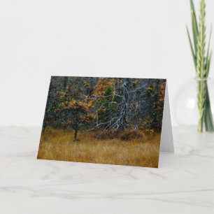 "Oktober" Adirondack Forest and Trees Scene Karte
