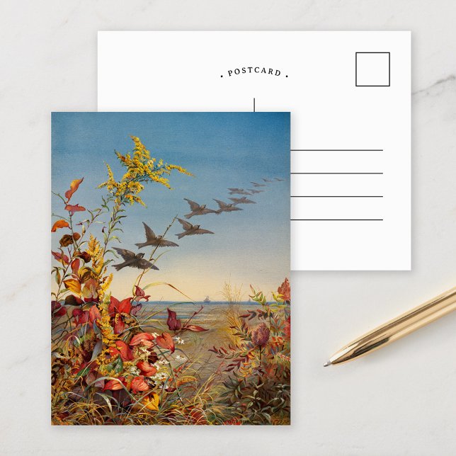 Oktober | Fidelia Bridges Postkarte (Von Creator hochgeladen)
