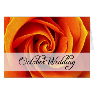 Oktober Hochzeit : Rose der Saison: