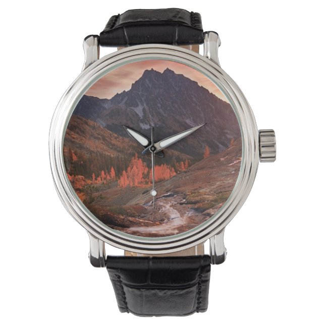 Oktober-Licht auf das Scheinwerferbecken Armbanduhr (Vorderseite)