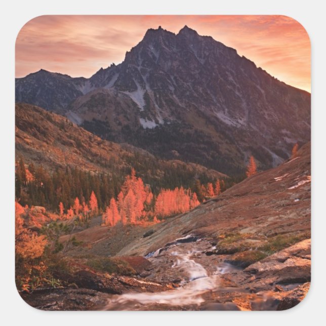 Oktober-Licht auf das Scheinwerferbecken Quadratischer Aufkleber (Vorderseite)