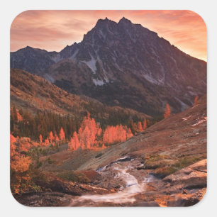 Oktober-Licht auf Scheinwerfer-Becken Quadratischer Aufkleber