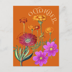 Oktober Monat Blume Marigold Cosmos Orange Postkarte