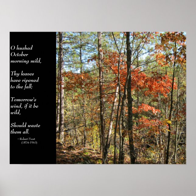 Oktober Morn Poster (Vorne)