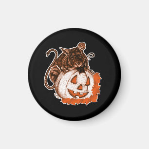 Oktober Orange Rat auf Pumpkin Halloween Magnet