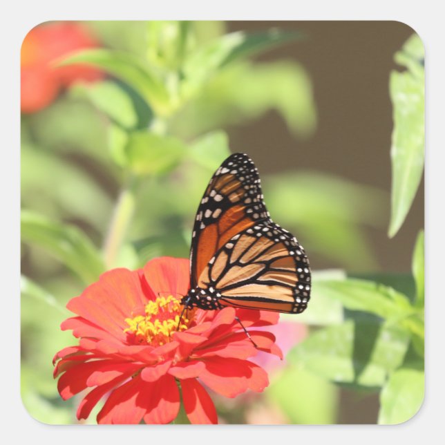 Oktober Quadratischer Aufkleber (Vorderseite)