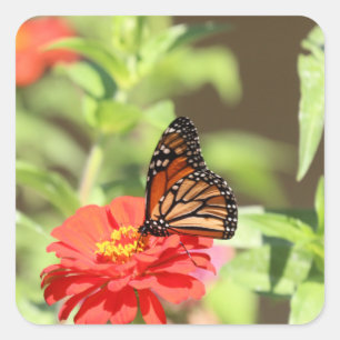 Oktober Quadratischer Aufkleber