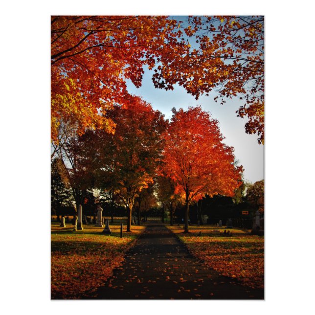 Oktober Shine Fotodruck (Vorne)