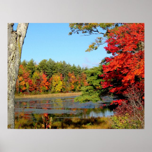 Oktoberblätterdruck Poster (Vorne)