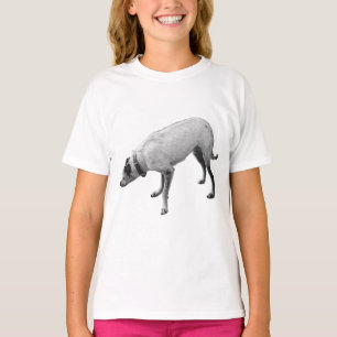 Oktobernuss zum Wind T-Shirt
